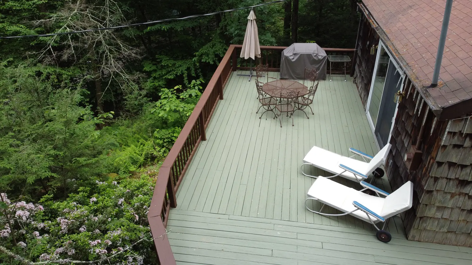 Aerial view of the wide sage-green deck floating over ferns and forest