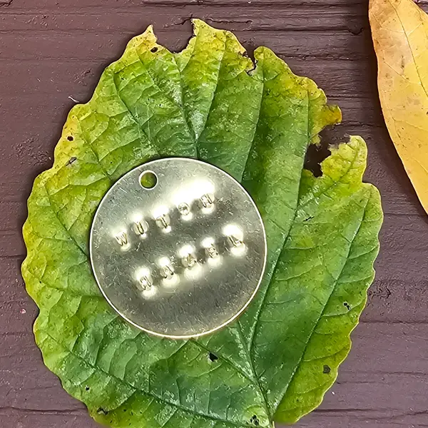 A brass tag stamped WITCH HAZEL resting on a green witch hazel leaf