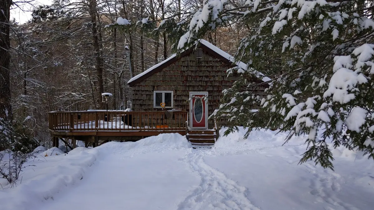 Snow-covered hemlocks arching over the cabin after a storm