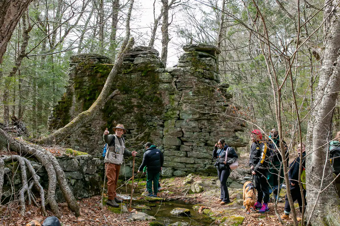 A guide and a group of visitors at the foot of the mill's standing dry-stone wall, a birch growing straight out of the stonework