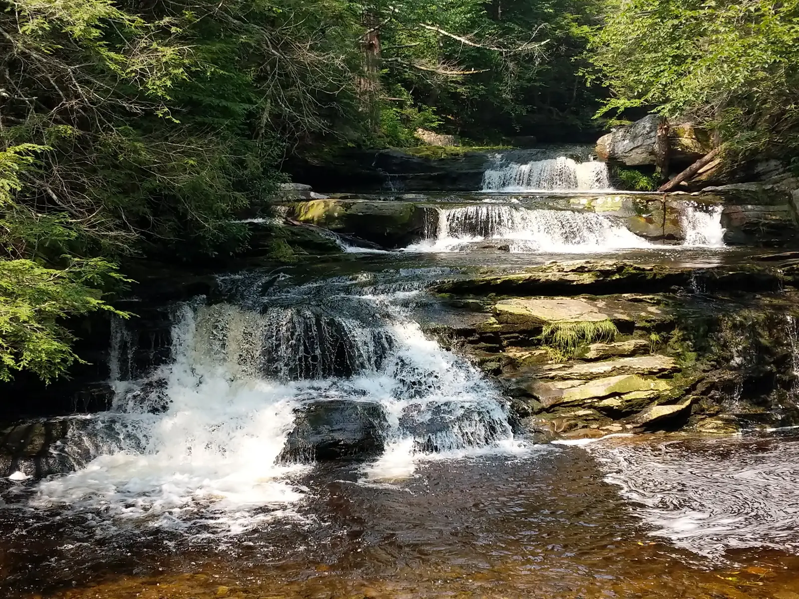 Vernooy Kill Falls cascading over mossy ledges